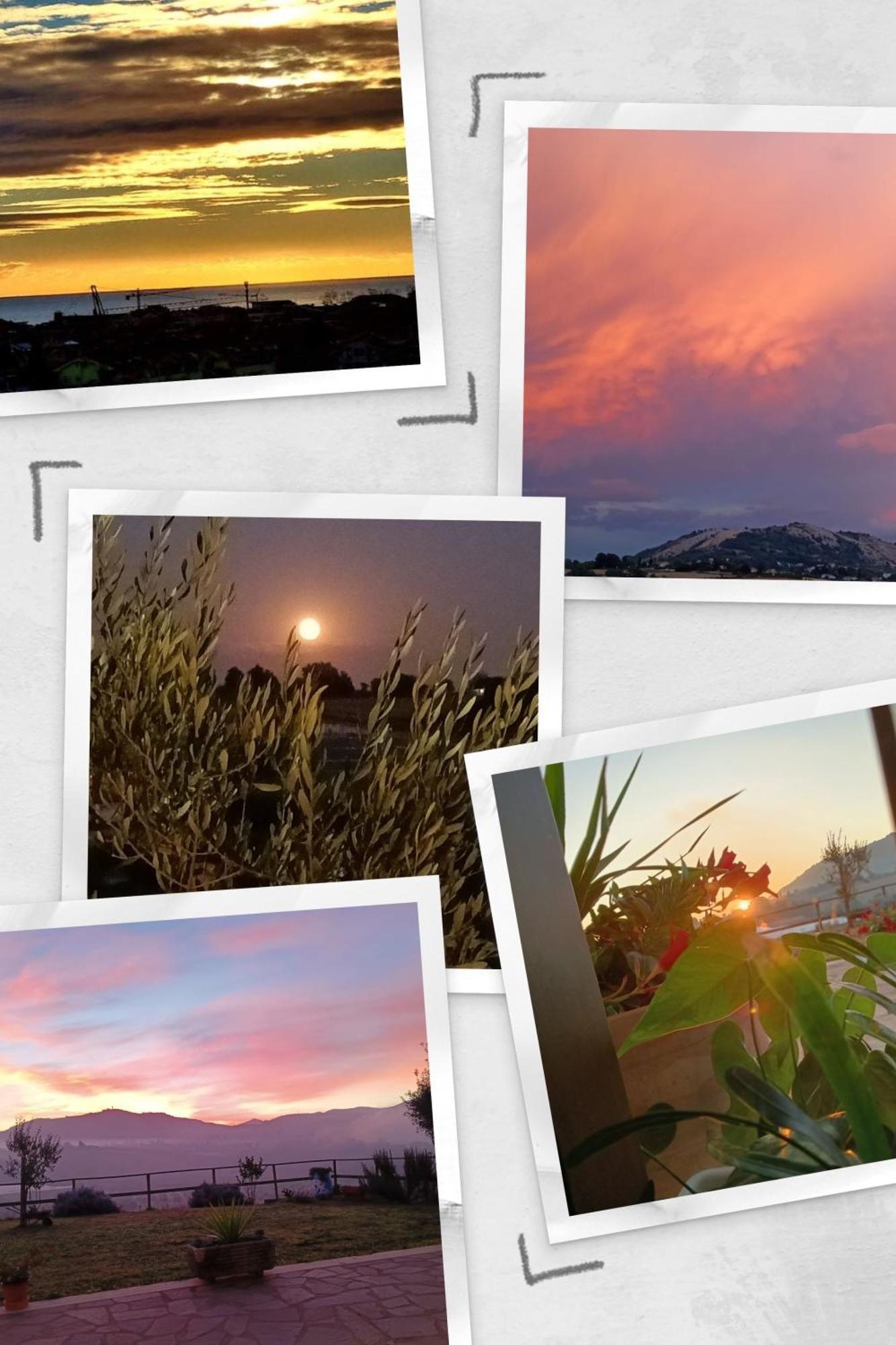 Il Faggio 17 B&B Artena Exteriér fotografie
