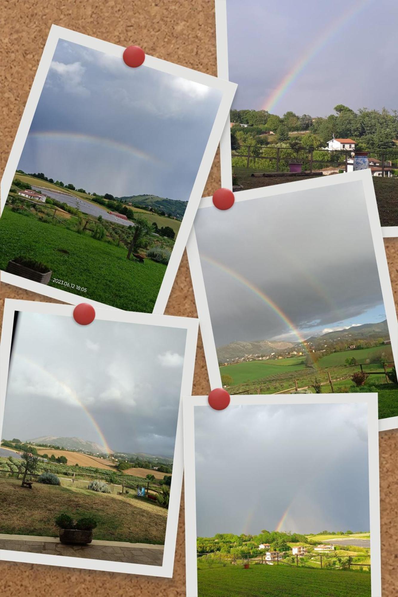 Il Faggio 17 B&B Artena Exteriér fotografie