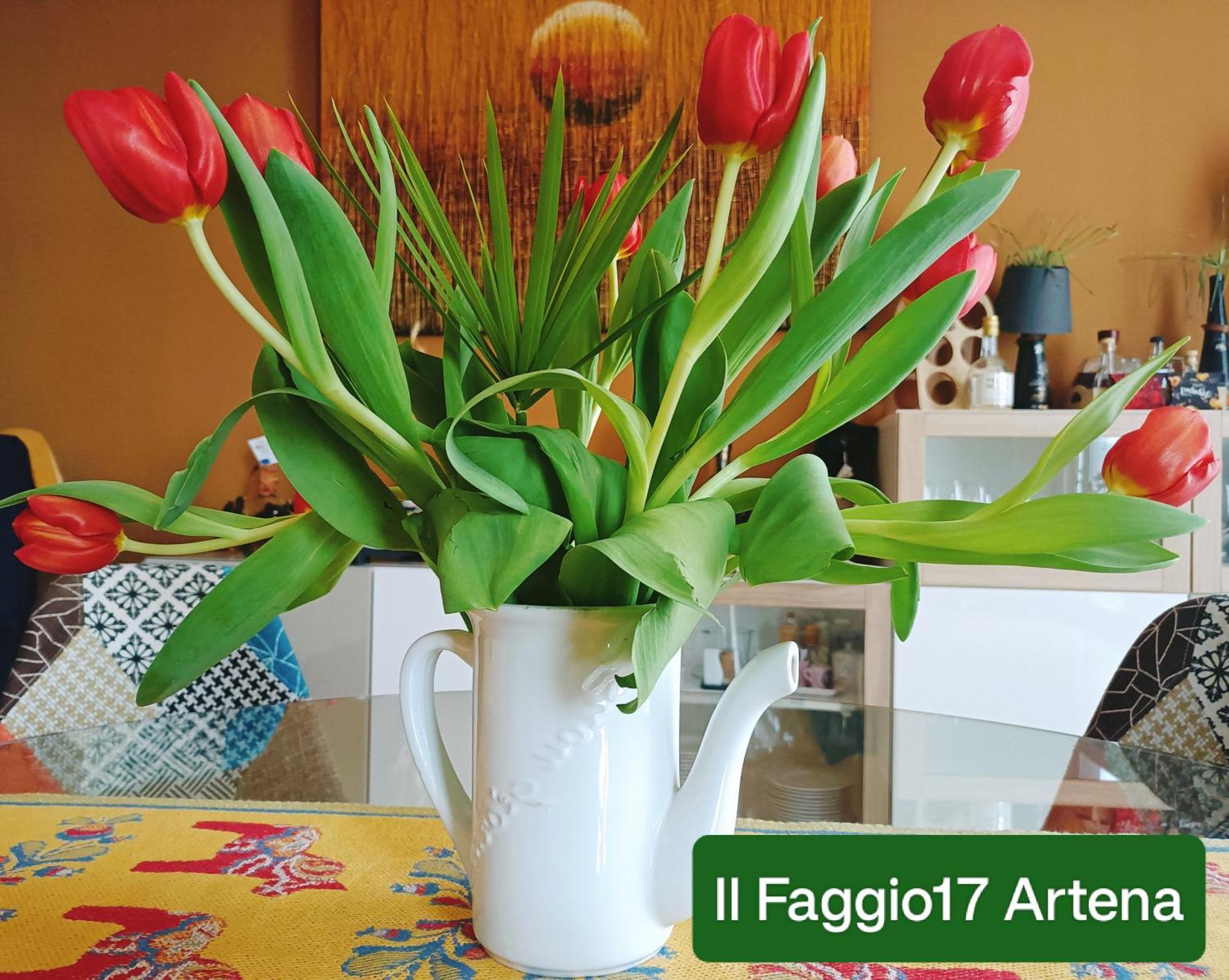 Il Faggio 17 B&B Artena Exteriér fotografie